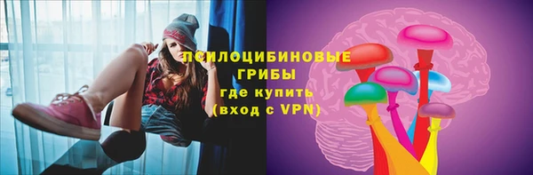 кокс Баксан