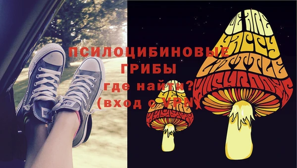 кокс Баксан