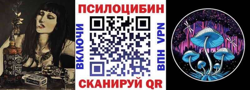 купить наркотики цена  Кувандык  Галлюциногенные грибы Psilocybine cubensis 